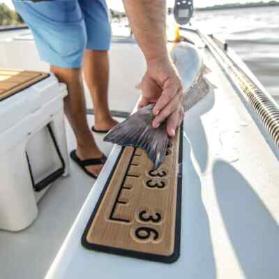 Mesure recfishing 2026