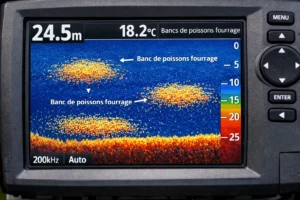 Identifier les bancs de poissons fourrage